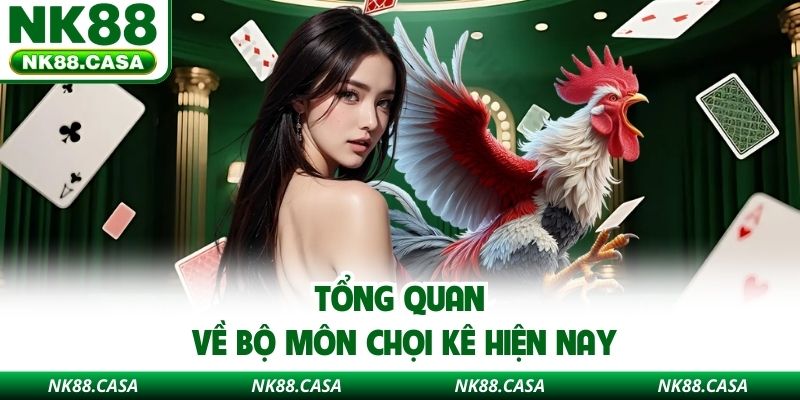Tổng quan về bộ môn chọi kê hiện nay